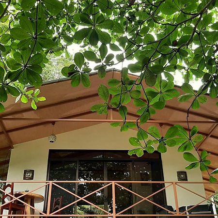 Appartement Casa Martina à Cahuita Extérieur photo