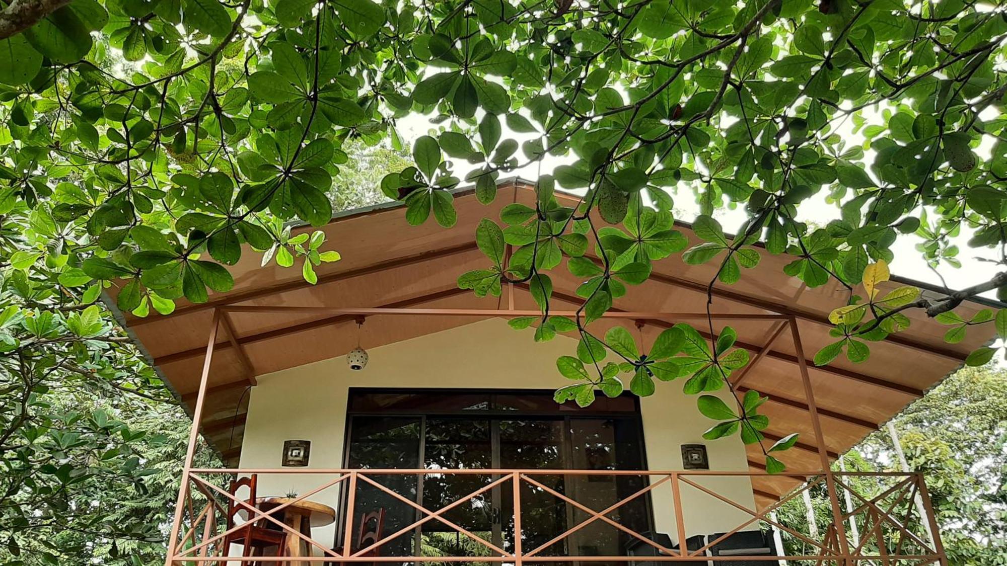 Appartement Casa Martina à Cahuita Extérieur photo